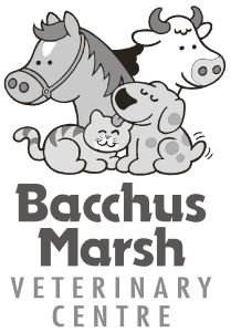 Bacchus Marsh Veterinary Centre