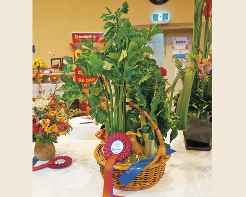 Best-Exhibit-Garden-Produce