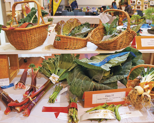 Class-76-Garden-Produce-Basket-of-Vegetables-Class-77-Garden-Produce-One-Vegetable-Not-Scheduled