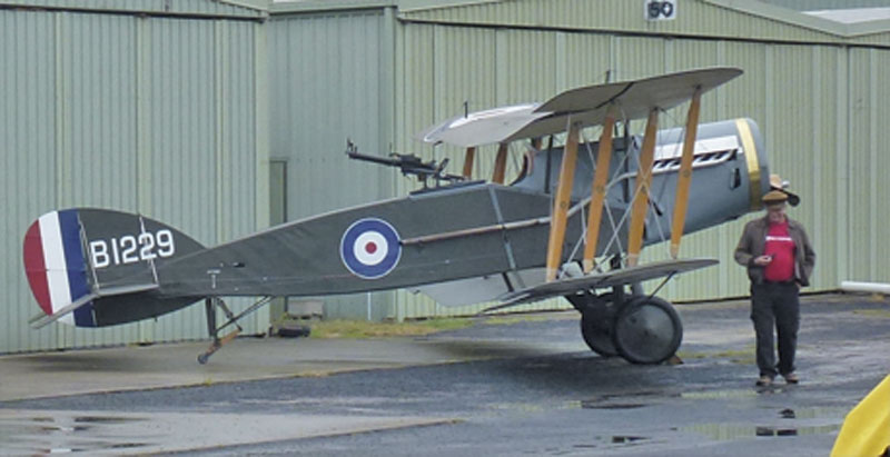 P1090990_green.jpg