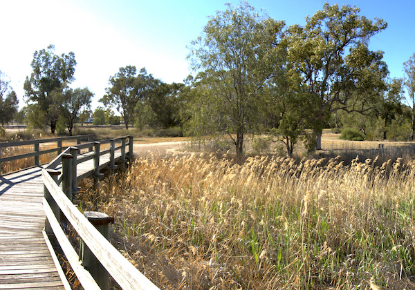 1 Ephemeral Wetlands