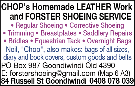CHOP's Homemade Leather Work - Horse - Services