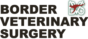 Border Veterinary Surgery logo