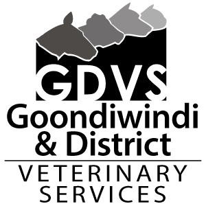 Goondiwindi & District Veterinary Services logo