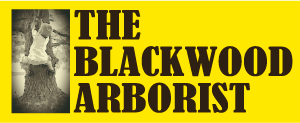 The Blackwood Arborist logo
